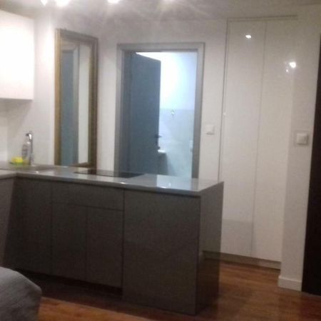 Апартаменты Apartament Mona Starowka-Old Town Эльблонг Экстерьер фото
